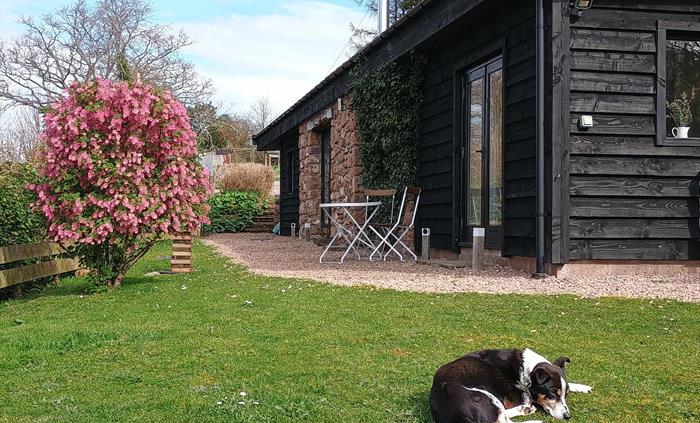 We love our guests to bring their pets.